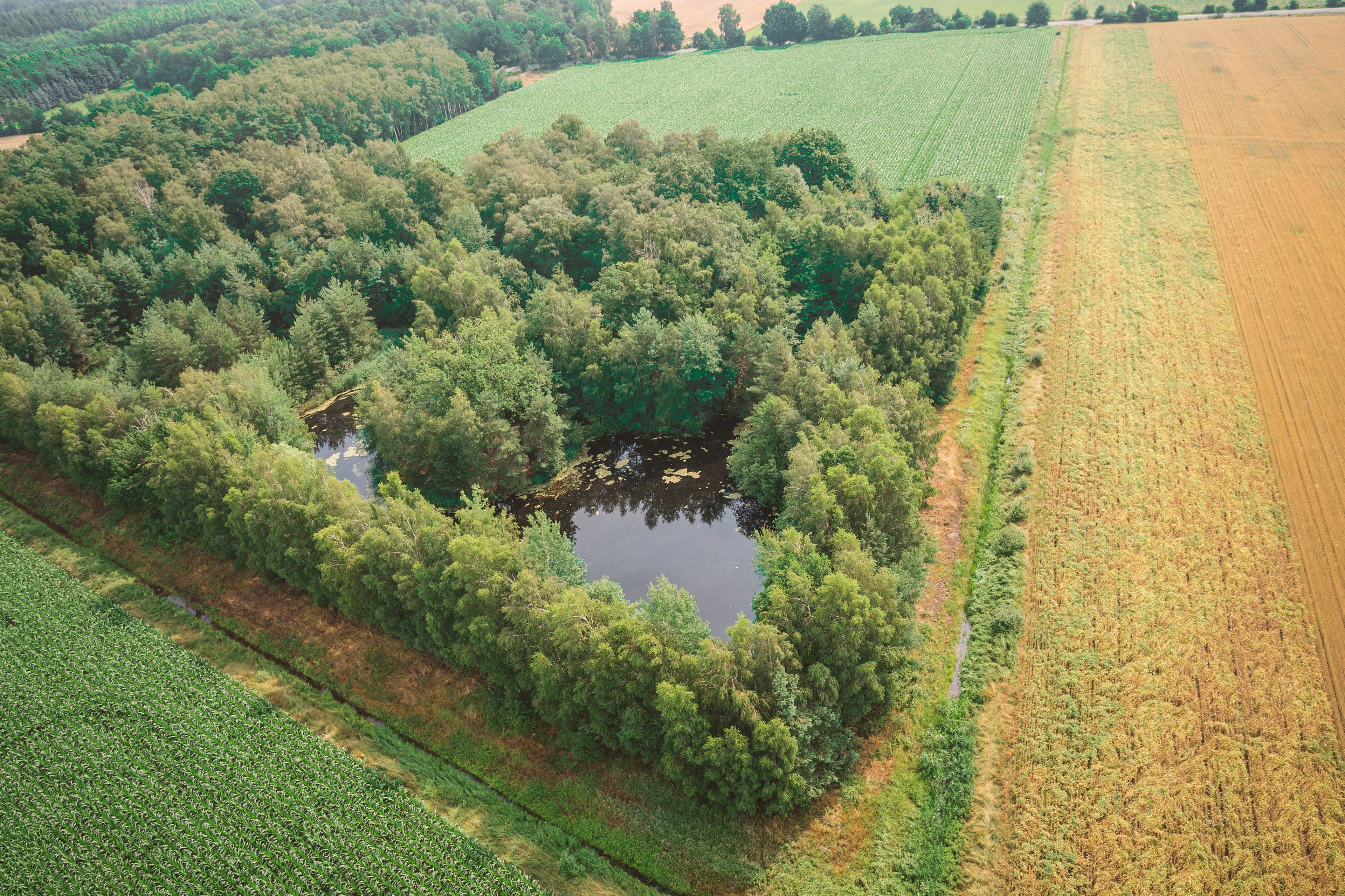 Rundflug mit einem Motorschirm im Norden von  Hannnover